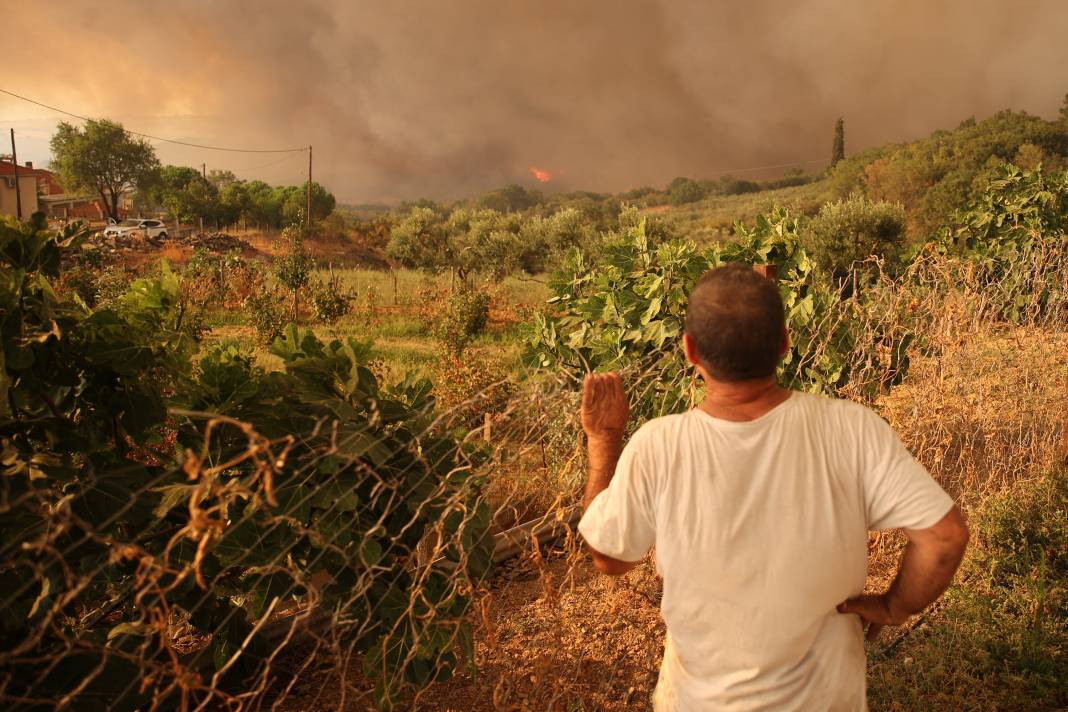 Meriç Bölgesi'nde yanan ormanlık alanda ceset bulundu - Resim: 18